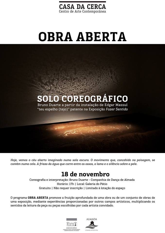 Solo coreográfico