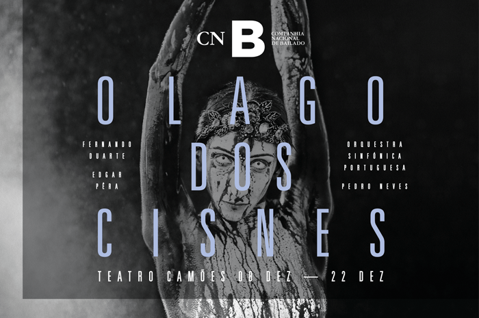 O Lago dos Cisnes