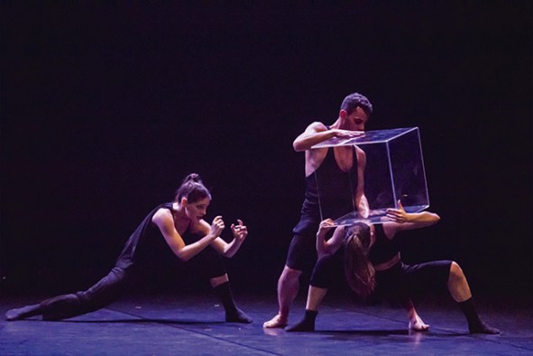 saudade - daniel cardoso - foto cristina cardoso 1