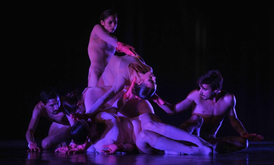 ps carmen - companhia danca almada - foto pedro soares1